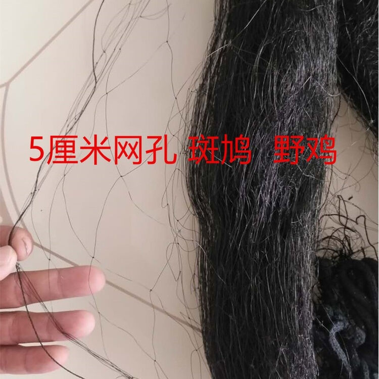 评价