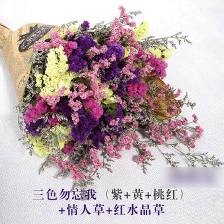 勿忘我真花干花满天星情人草水晶草干花花束花篮客厅装饰落地花卉创意