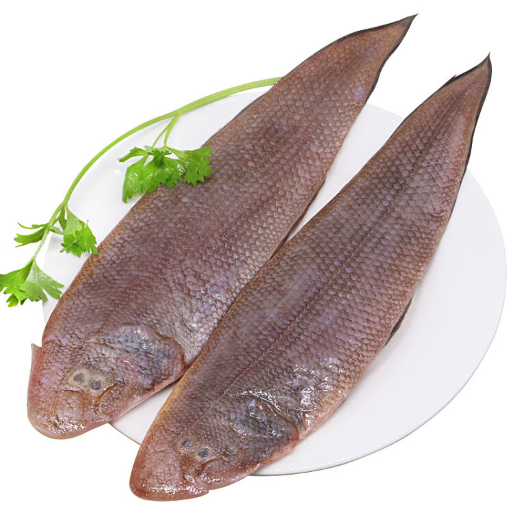 御鲜轩 冷冻龙利鱼1kg/袋/6-8条 龙舌鱼海鱼海鲜