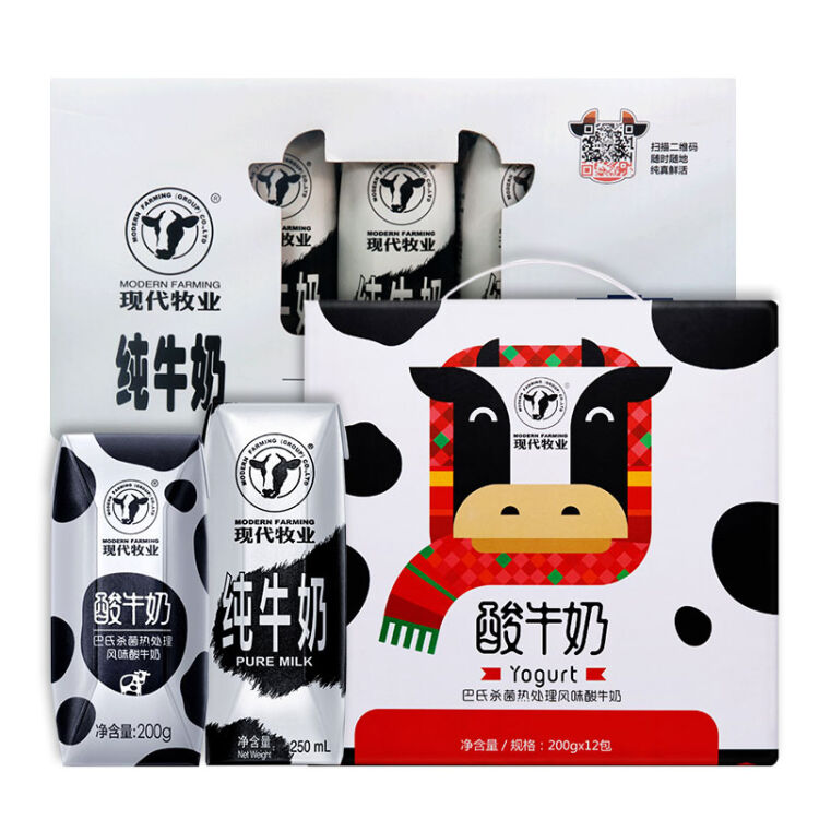 现代牧业(modern farming)精装礼盒纯牛奶 250ml×12包   常温酸奶250