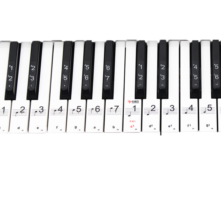 策音88键61键54键 透明钢琴键盘贴纸 电子琴琴贴五线谱简谱音符键位贴