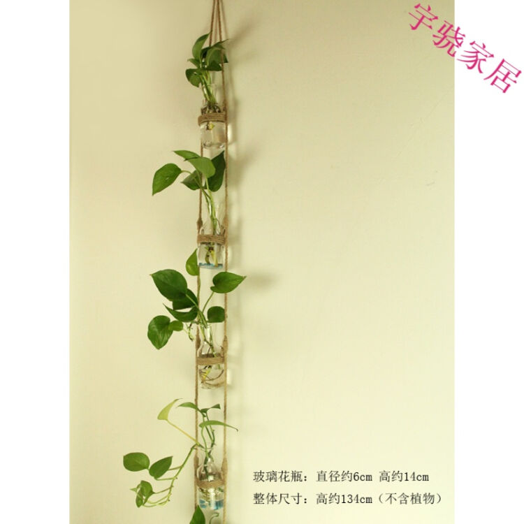 创意diy壁挂玻璃水培植物麻绳花瓶 家居幼儿园墙面装饰挂件 1个麻绳