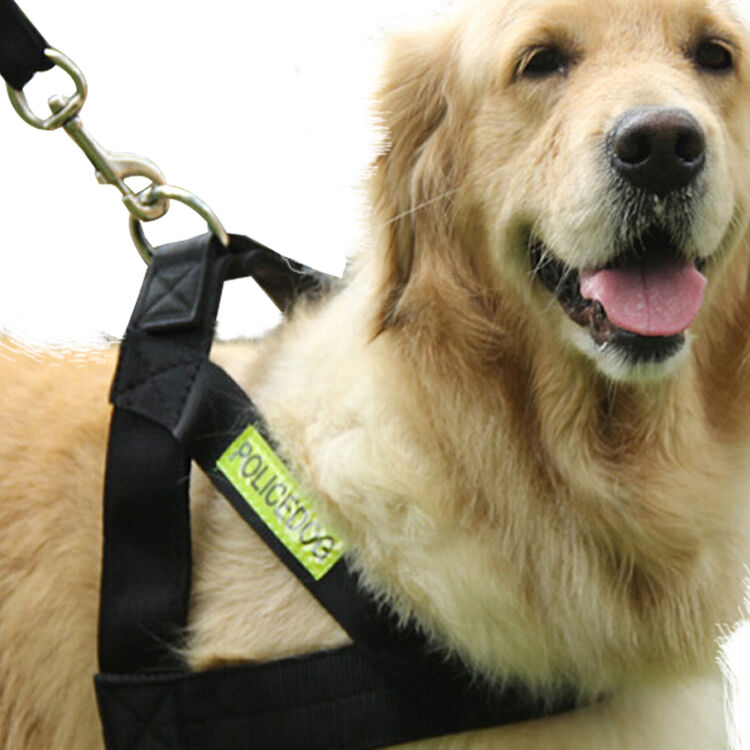 狗链狗绳小型犬中型犬狗狗牵引绳宠物牵狗绳带拴遛狗绳子金毛泰迪狗