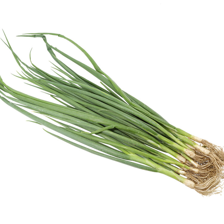 【密云农业 本地自种 现摘】 小葱 香葱 400g 新鲜时令蔬菜 现摘
