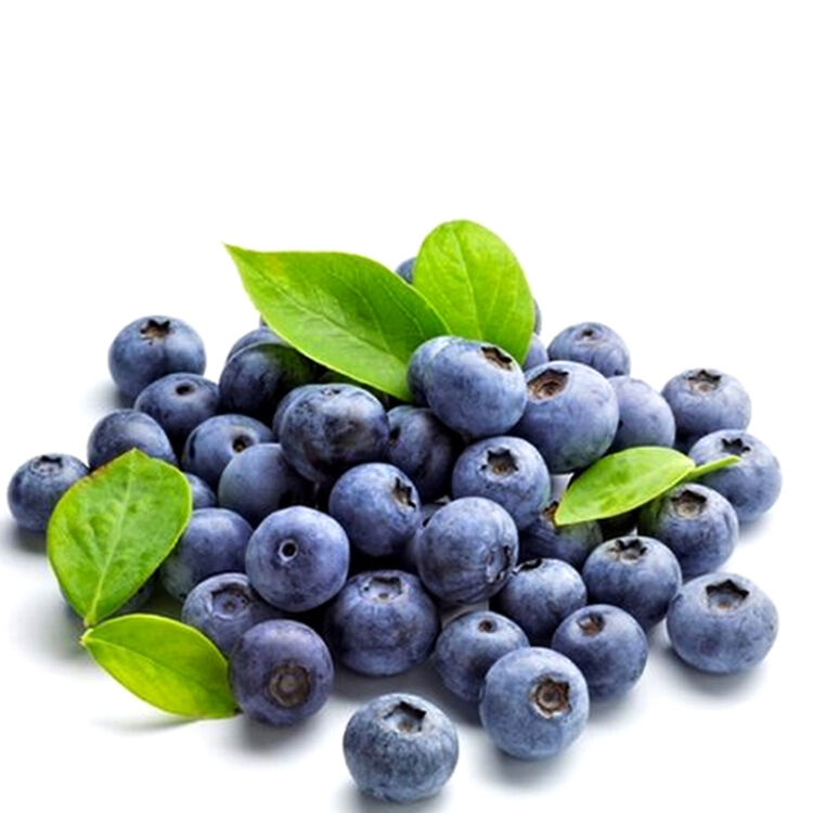 智利进口蓝莓125g*6盒 新鲜蓝莓孕妇水果