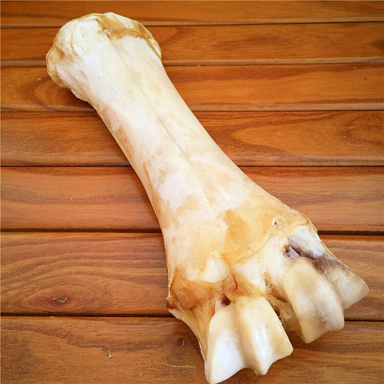 牛腿骨头 金毛大型犬磨牙棒 狗骨头狗零食 骨头