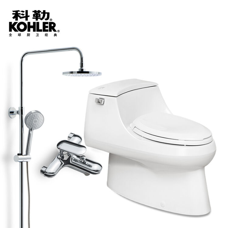 科勒(kohler)淋浴花洒套装 手持莲蓬头喷头升降淋浴器 76536 5483套装