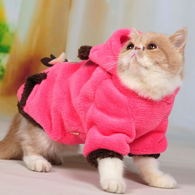 憨憨乐园 猫咪衣服猫咪衣服猫猫衣服保暖宠物猫衣服秋冬小猫衣服猫