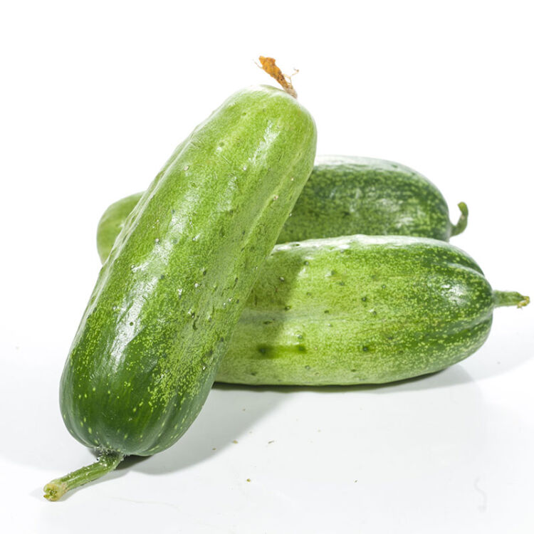 密园小农 密云本地7寸黄瓜 新鲜蔬菜 500g