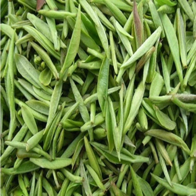 徐健2018年新茶绿茶上市黄山毛峰茶叶250克2018年新茶