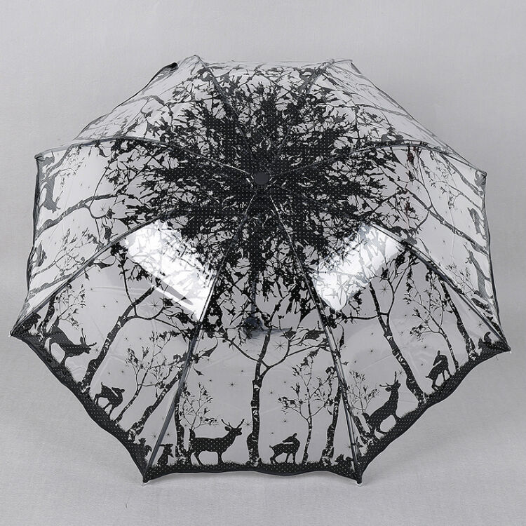 物有物语 透明雨伞 女士三折伞浪漫公主创意折叠伞 黑色绿野仙踪 直径