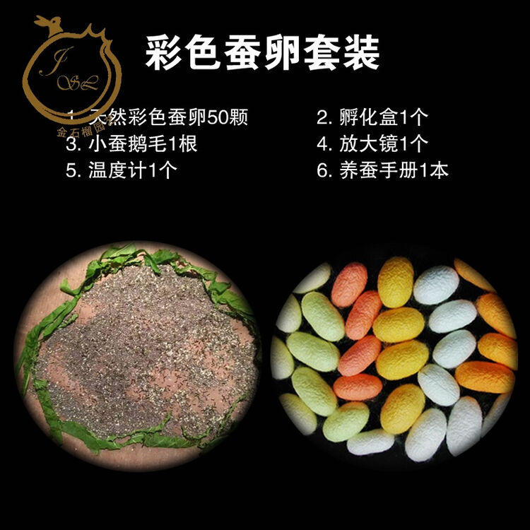 评价