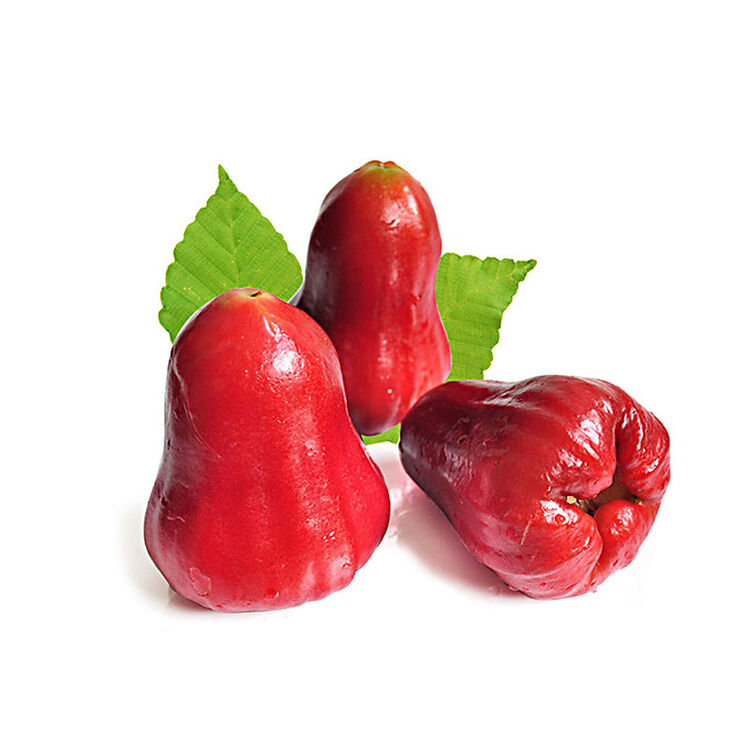 梅珍 莲雾2.5kg 热带新鲜水果 海南中国红莲雾大果