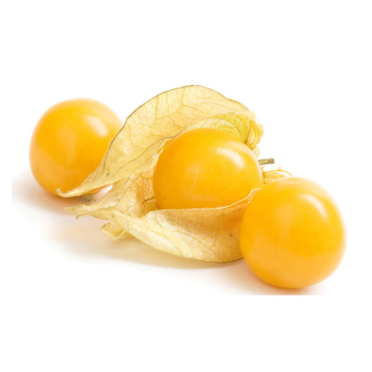 东北特产新鲜洋花姑娘甜菇娘果灯笼果黄姑娘果菇凉果