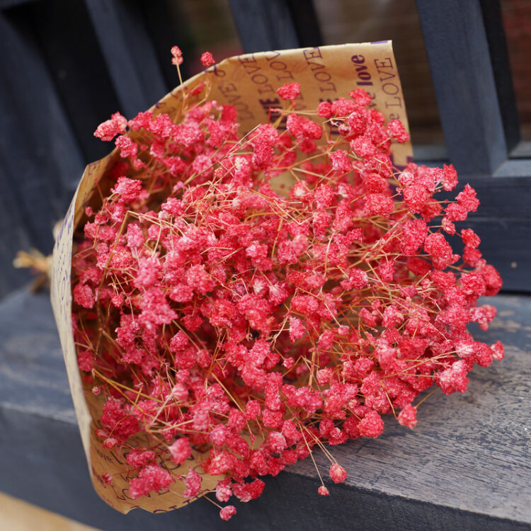 花束真花客厅装饰花文艺小清新花瓶花篮插花花艺 红色大满天星 单花束