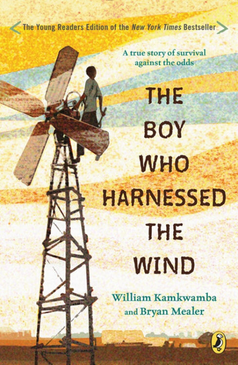 驭风少年 英文原版 the boy who harnessed the wind 儿童小说