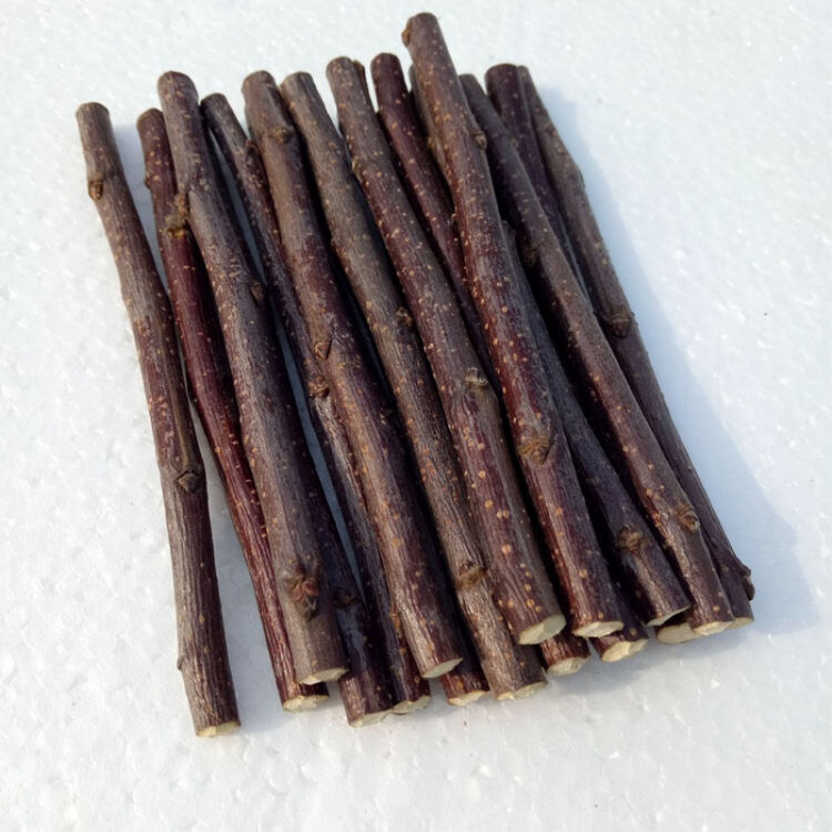 磨牙棒零食苹果枝荷兰猪松鼠咬木枝磨牙枝用品兔子零食苹果枝 苹果枝