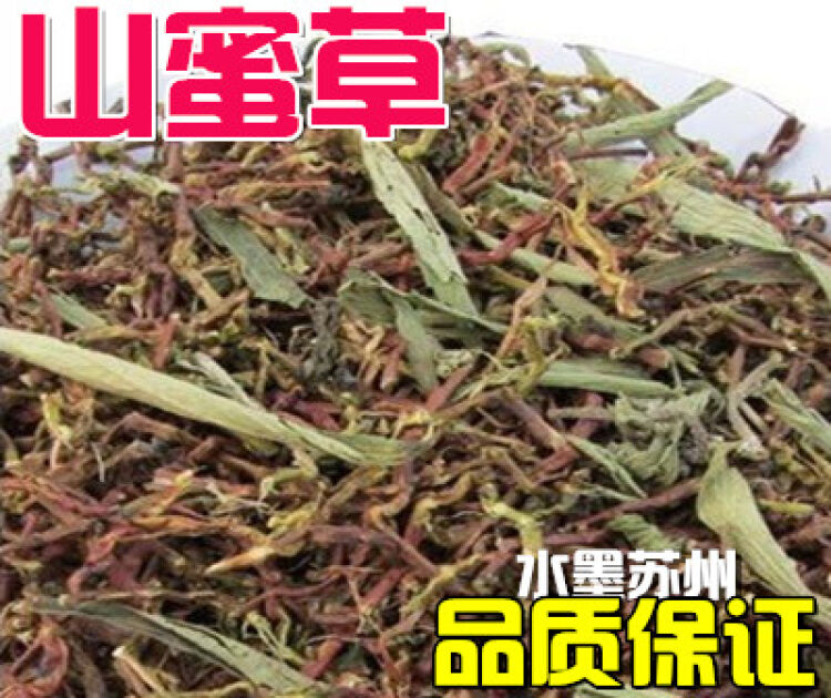 山蜜草 山密草云南长寿草 山蜜草茶批 铁观音茶叶梗 500g