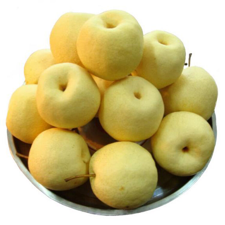 鑫旭 砀山梨2.5kg 酥梨子 新鲜水果 产地直发