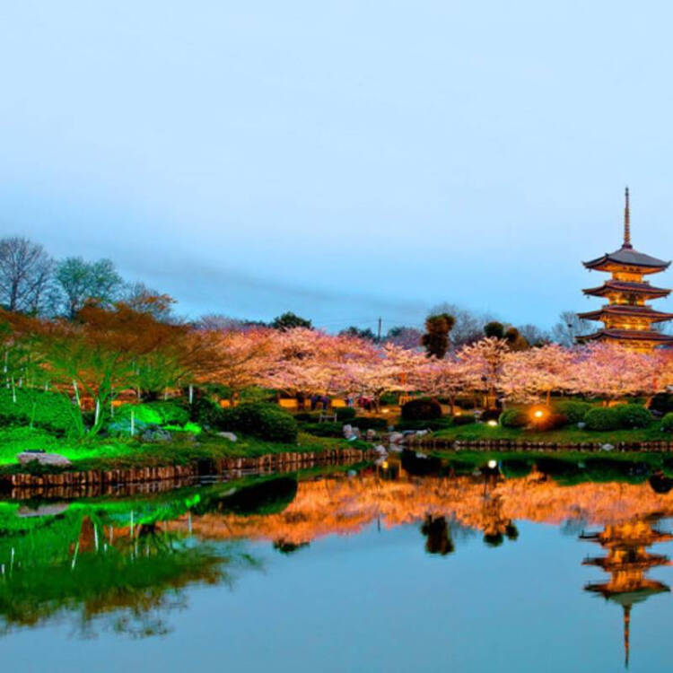 武汉东湖磨山景区- 【电子导游】东湖磨山风景区—手机智能导游(3d