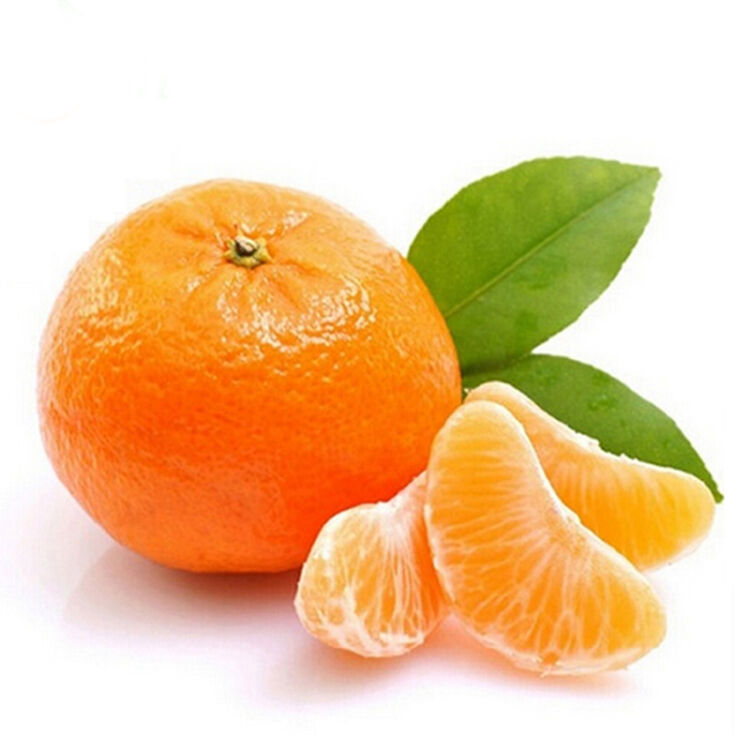 裕泰 江西特产南丰蜜桔 新鲜蜜橘桔子水果 5kg