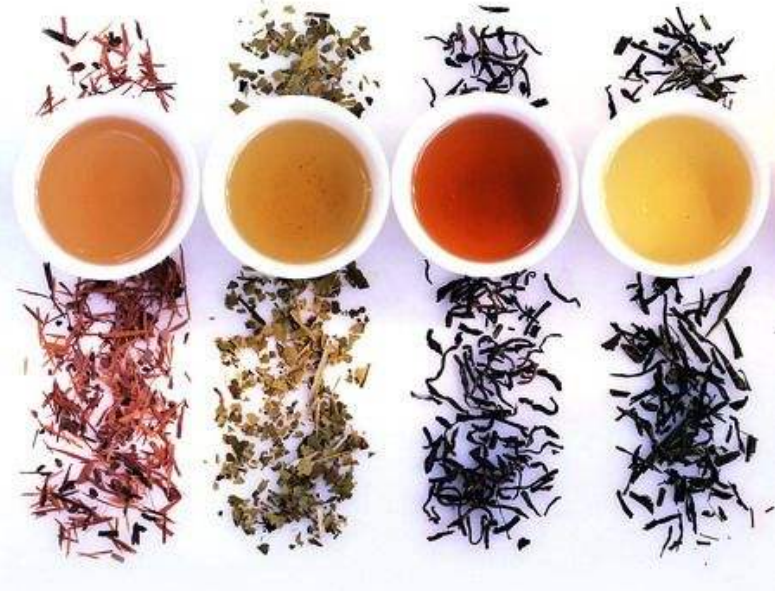 茶人不可不知的中国六大茶类分类