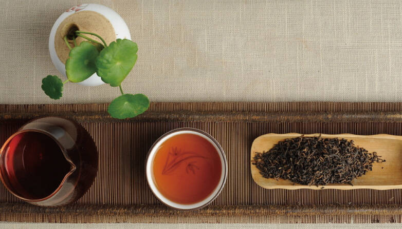 怎么品普洱茶？带你了解普洱茶的