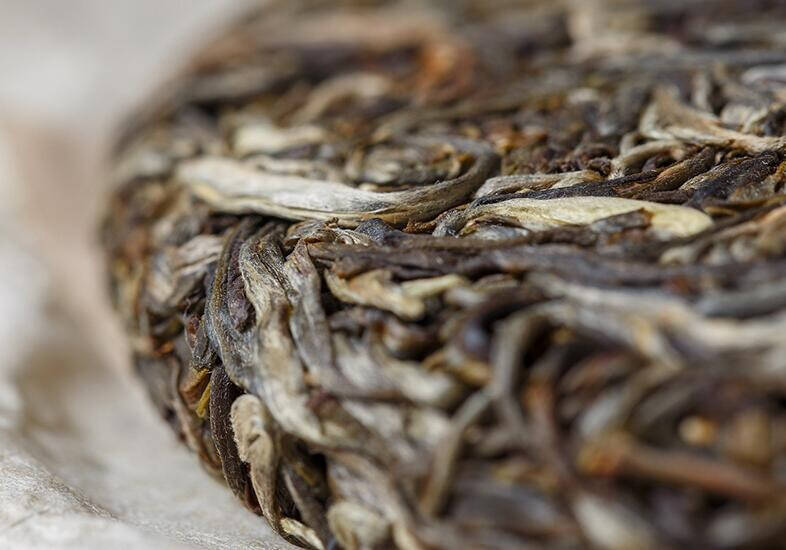 怎麼辨別普洱茶？茶葉品質有先天因素也有後天因素，今