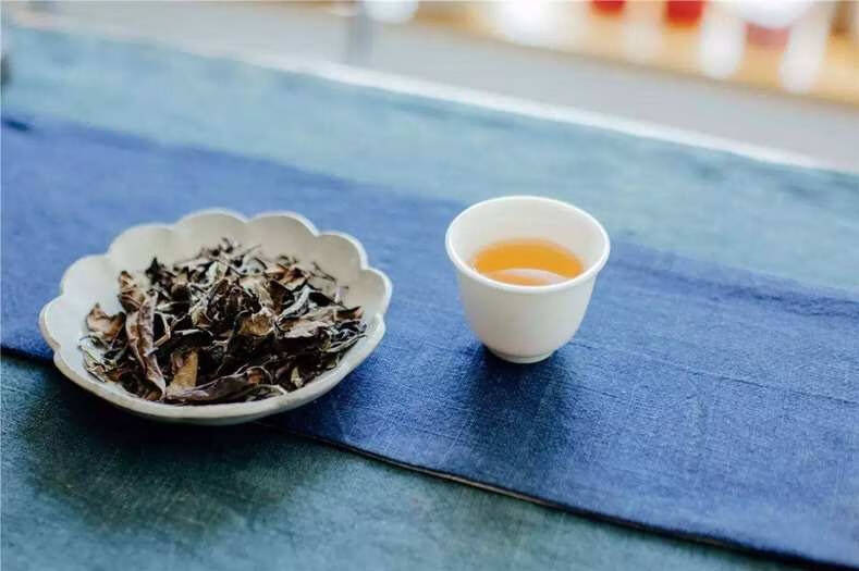 福鼎白茶的興起不過近十年，如果懷著鈎沈之心或追憶之