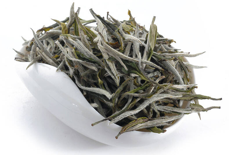 绿雪芽，陈年宝，白茶特殊的价值