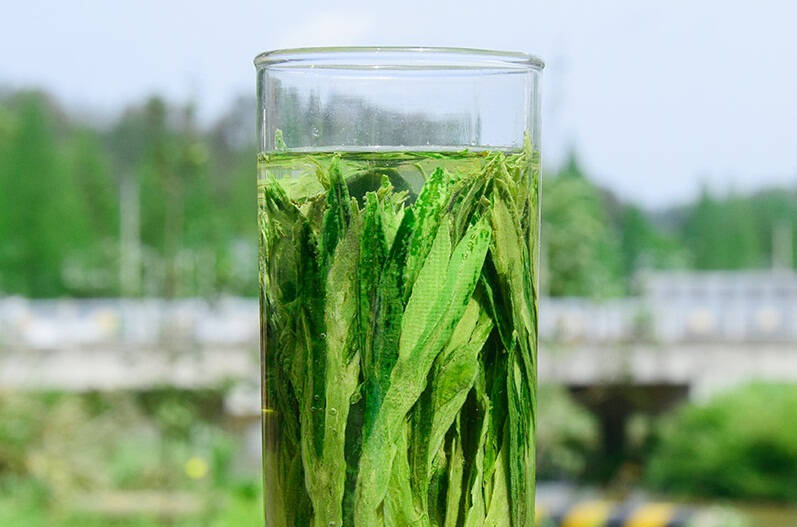 只需要60秒让你学会辨别绿茶品