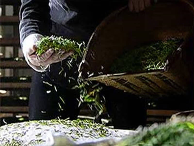 六种好喝的茶叶推荐，送礼不二的