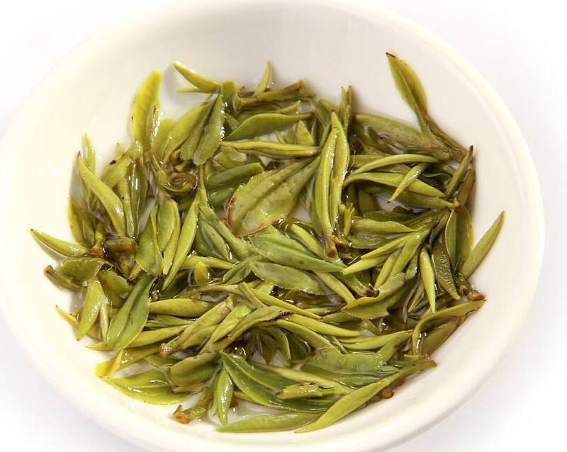 都言春茶好,春茶香,为什么春天