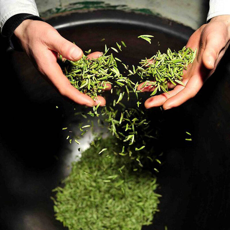茶界小白的入门功，绿茶到底怎么