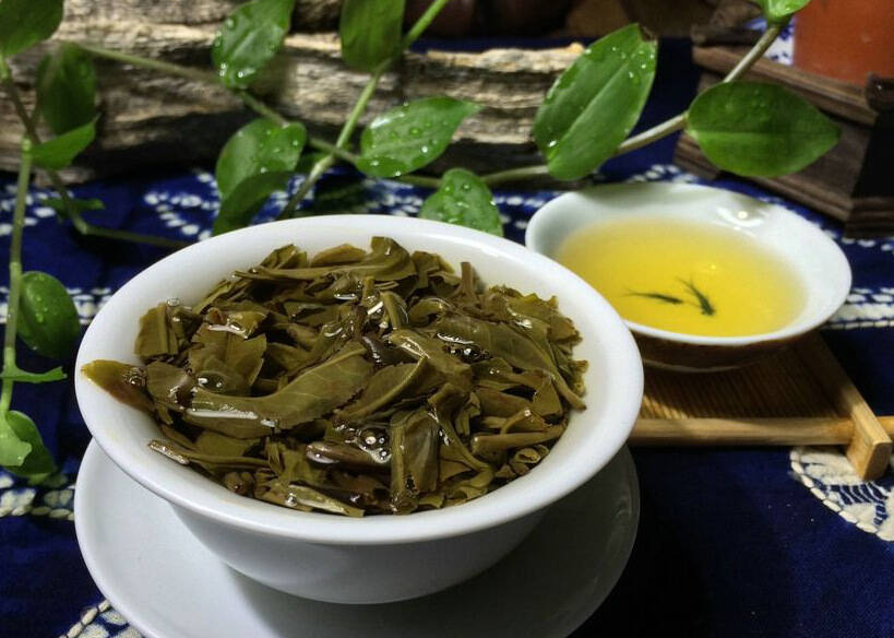 泡普洱茶的时候,看茶底需要注意