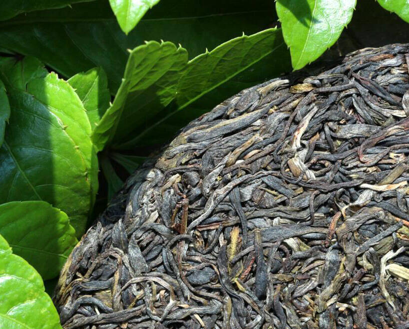 古树茶体感好，什么是体感，什么