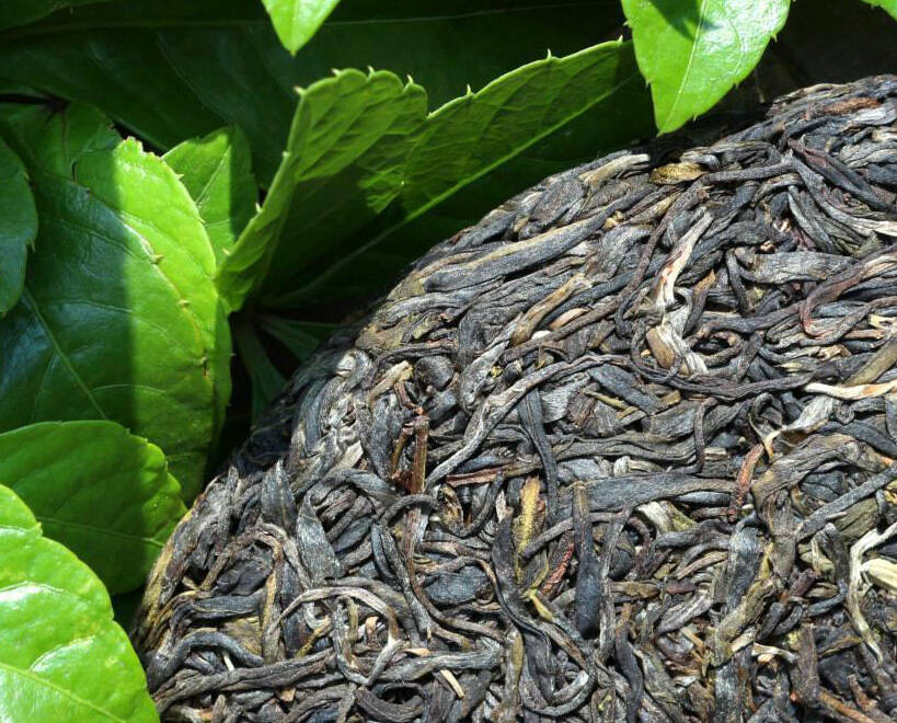 普洱入口爽滑,普洱何为普洱茶的