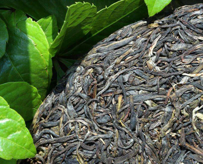 煮茶有讲究，什么茶适合煮？怎样