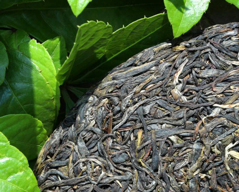 普洱茶怎么泡，用盖碗泡，怎么用