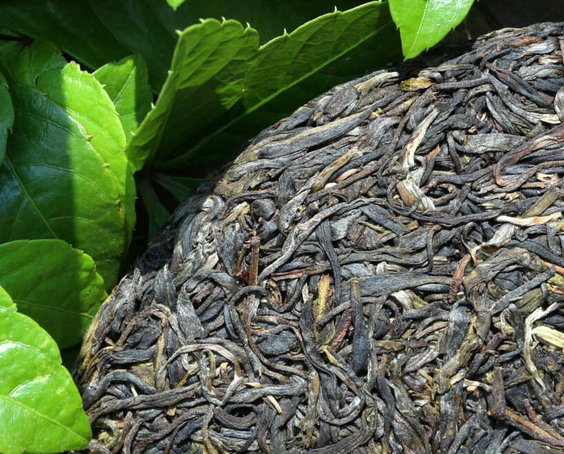 普洱分生茶、熟茶，分老茶、新茶