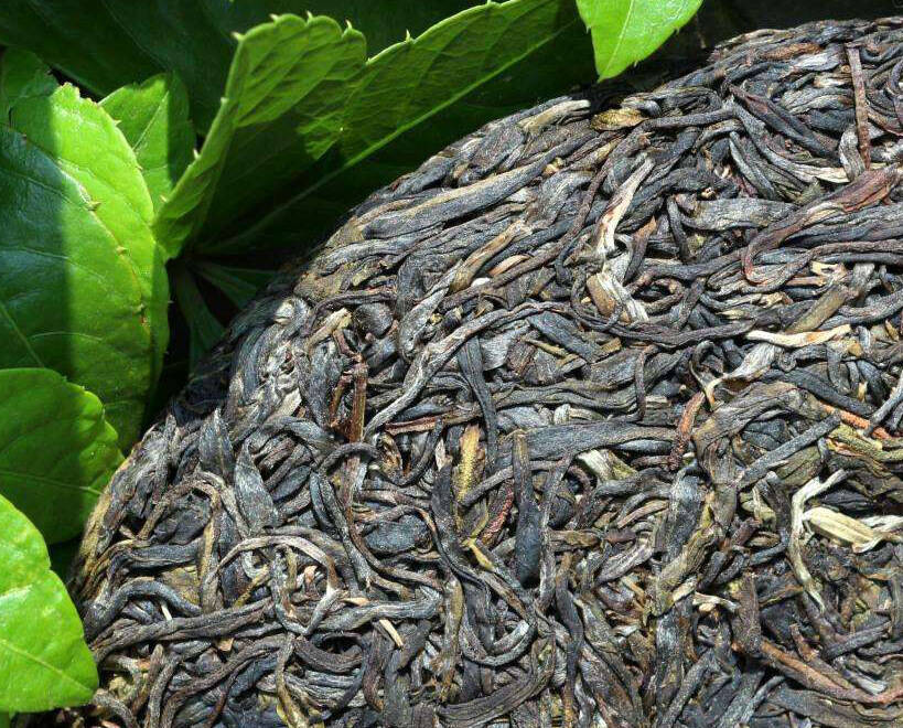 烹茶长歌行，哪些茶适宜煮饮喝？
