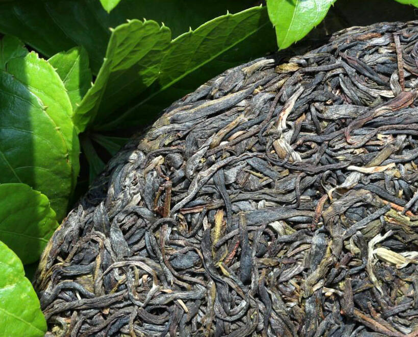 新茶期间,同片茶区的茶,喉韵是