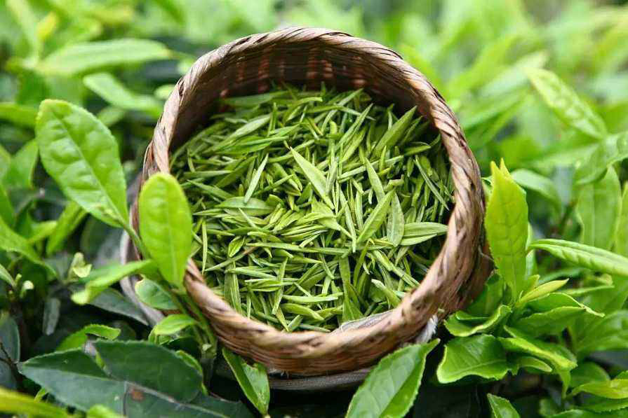 不同人群喝不同茶,胡乱喝茶伤身