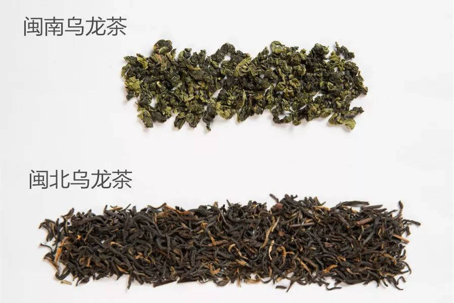 半年减38公斤的乌龙茶怎么选，