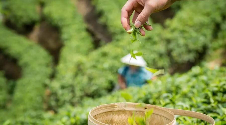 休闲单机游戏