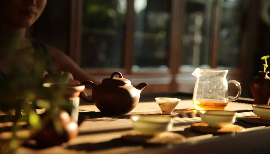 愿用好白茶,换你岁月静好