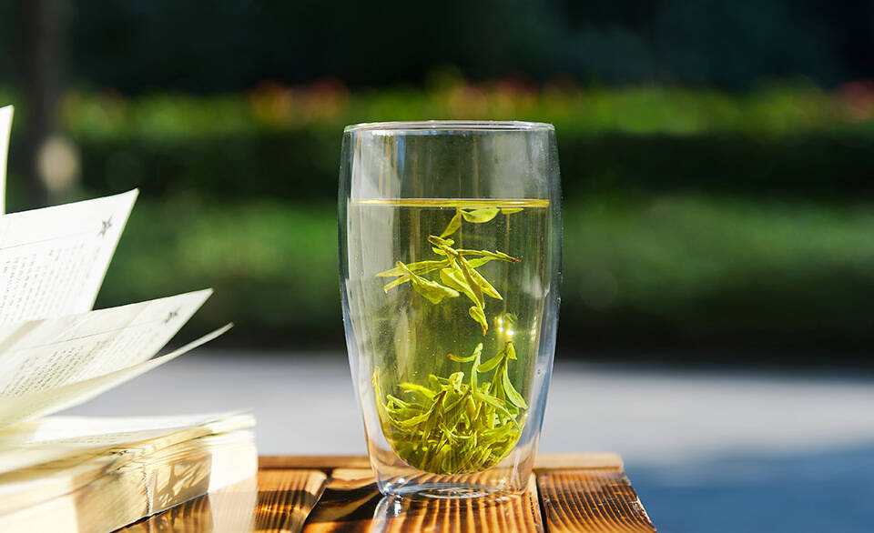 夏饮绿茶正当时，绿茶为什么不能
