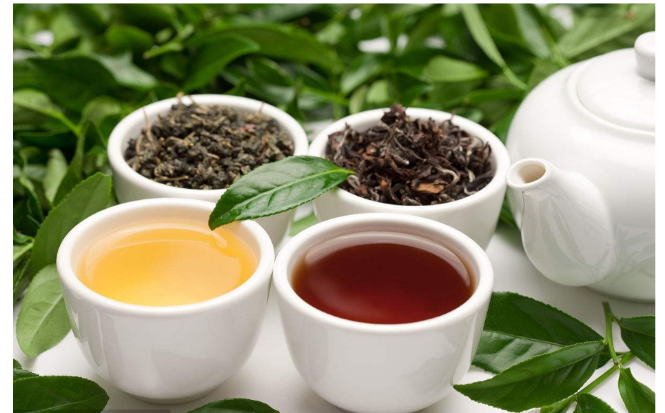 喝茶小知识，上班犯困！选一款提