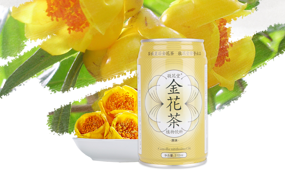 原来被誉为“茶族皇后”的金花茶