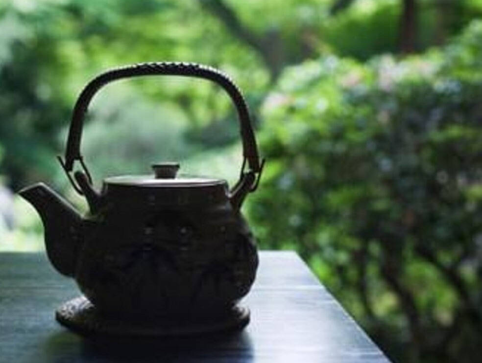 普洱茶的六种香气,你知道几种?